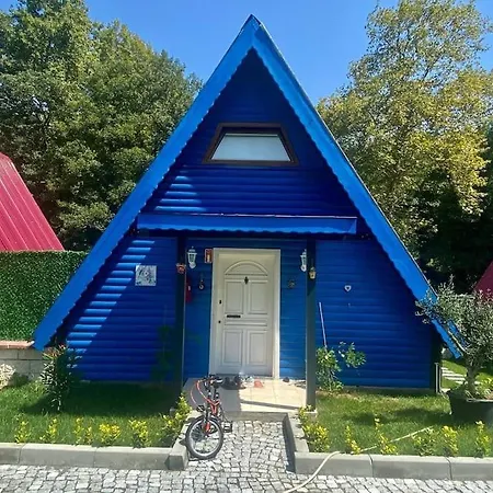 Hotel De Essiz 2+1 Ev Ağva